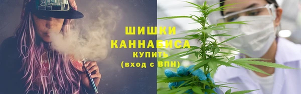 гидропоника Богородск