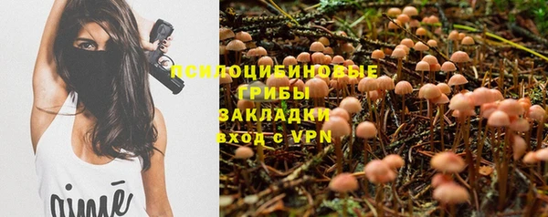ALPHA PVP Богданович
