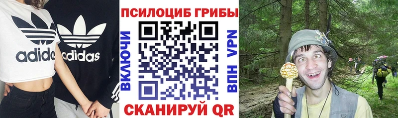 дарк нет официальный сайт Пятигорск Псилоцибиновые грибы мицелий