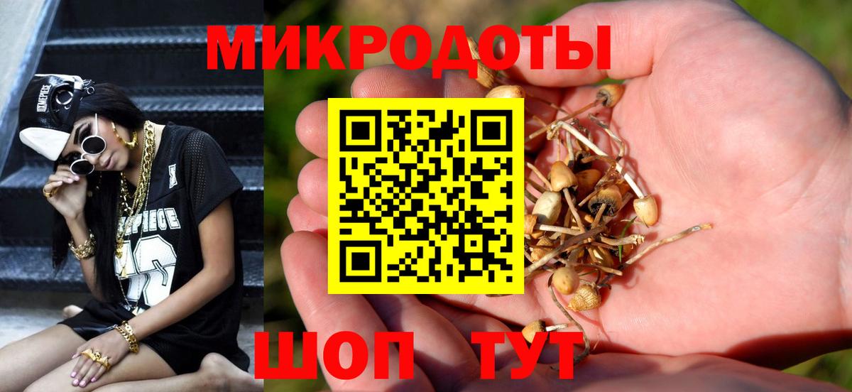Галлюциногенные грибы GOLDEN TEACHER Пятигорск