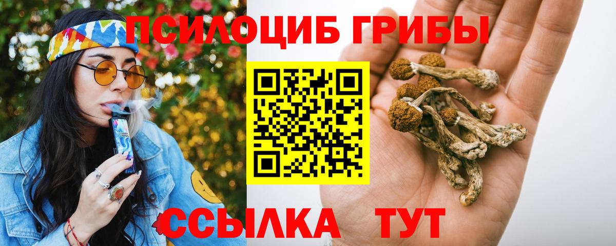 Псилоцибиновые грибы мицелий  Галлюциногенные грибы Magic Shrooms  Пятигорск  Вход с VPN 